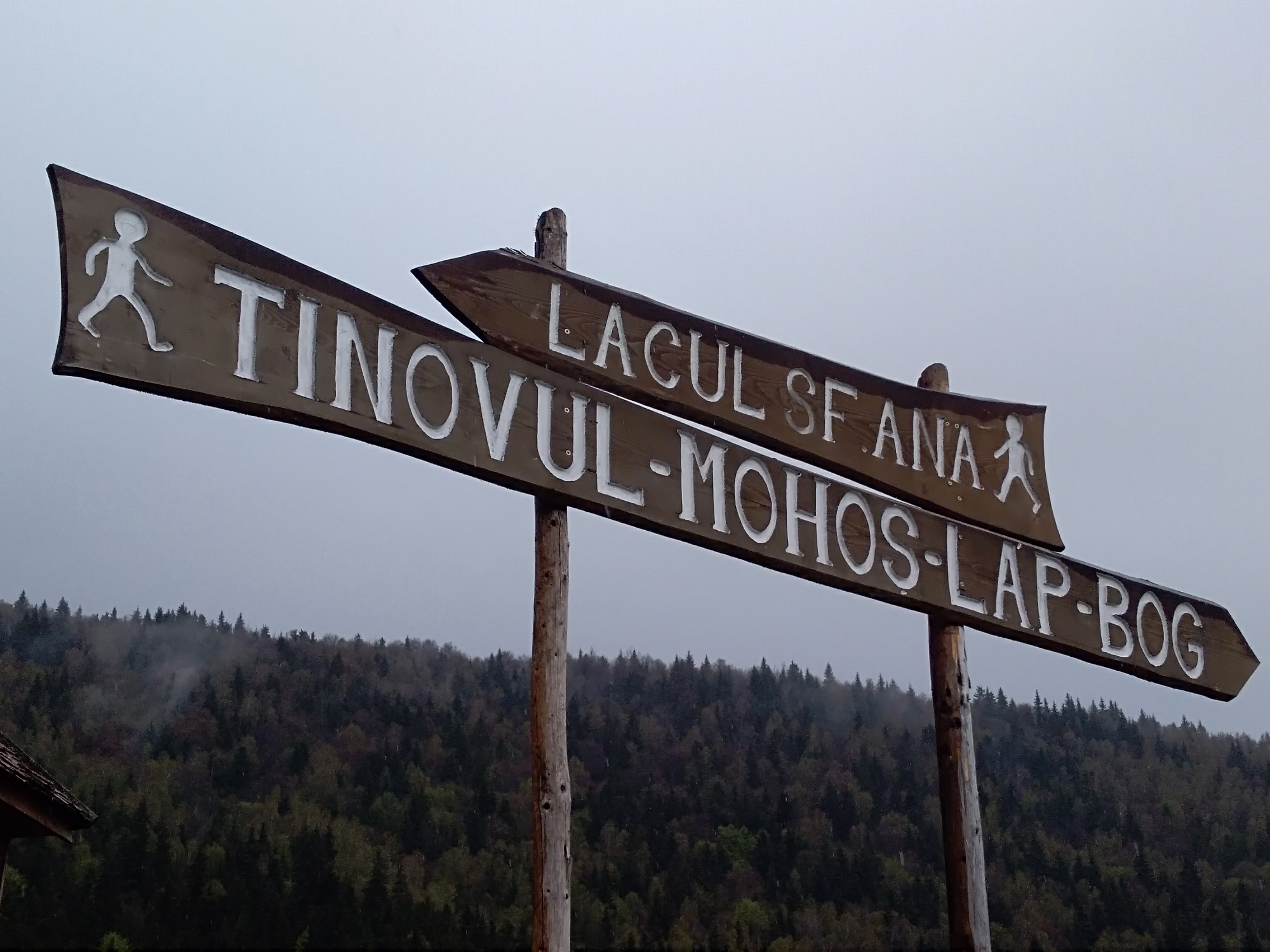 Vulkánok Nemzetközi Napja